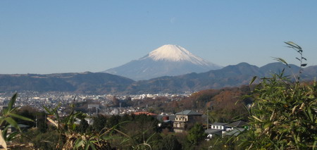 小島ミカン狩り2.jpg