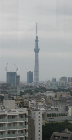 相模スカイツリー7.jpg