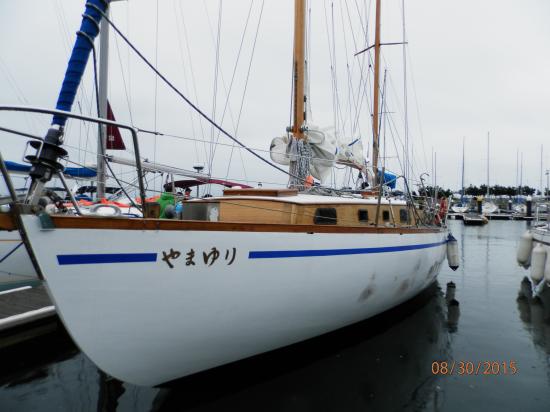 帆船山百合.JPGのサムネイル画像のサムネイル画像のサムネイル画像