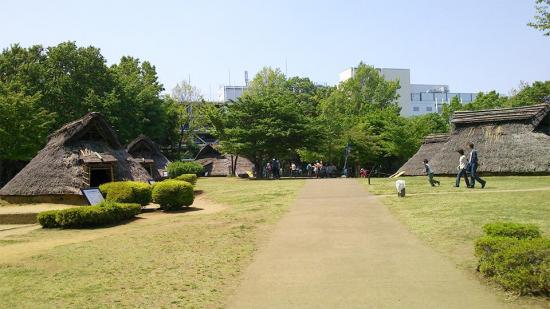 大塚歳勝公園1.jpg