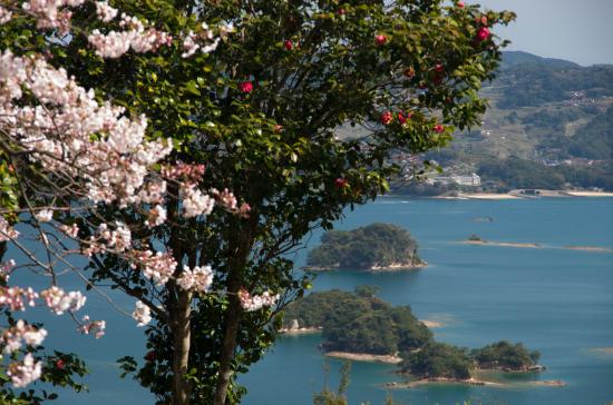 桜と椿とイロハ島IMGP0808.jpg