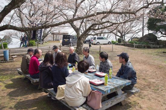 6 五分咲きの桜の下で花見　75.jpg