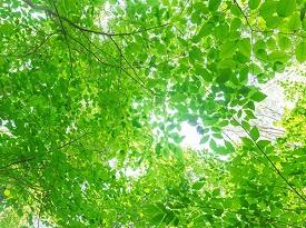 硯川土地家屋調査士事務所